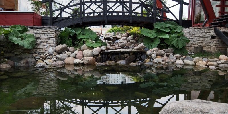 country-park-arenda-5