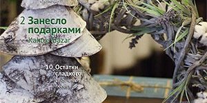 country-park-news-kp-times-13