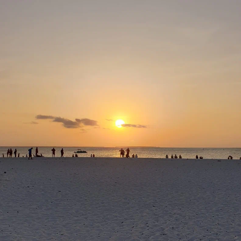 Ирина Дружинина