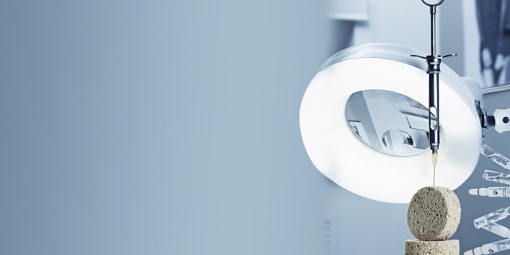 country-park-services-beauty4