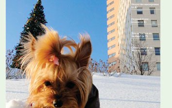 Кантри Парк Таймс № 5